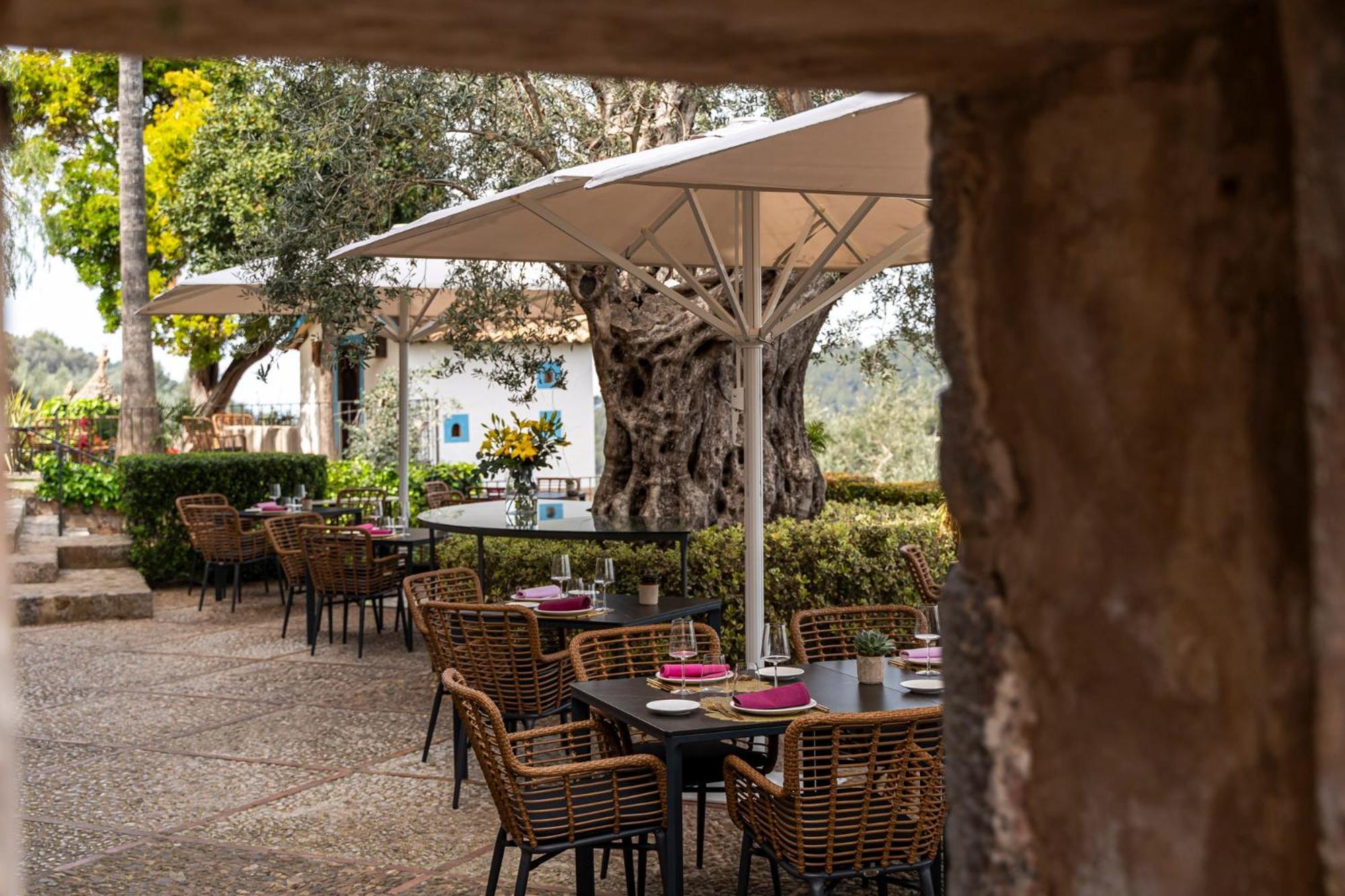Ca'S Xorc Luxury Retreat - Adults Only Hotel Sóller Kültér fotó