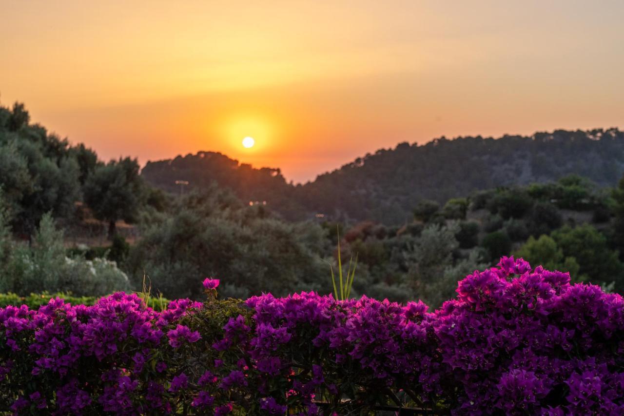 Ca'S Xorc Luxury Retreat - Adults Only Hotel Sóller Kültér fotó
